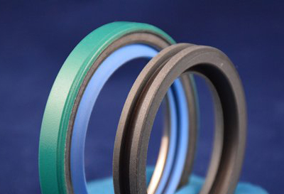 Teflon® Lip Seals