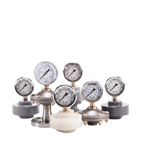 Sentinel™ Diaphragm Seals