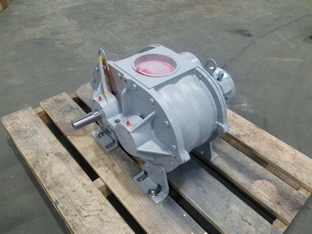 Roots-after-1-Medium