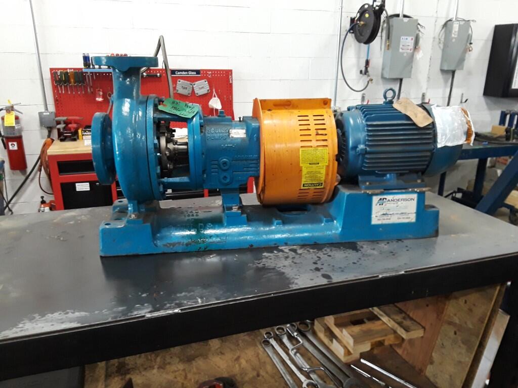 goulds-3196-before-2-Medium