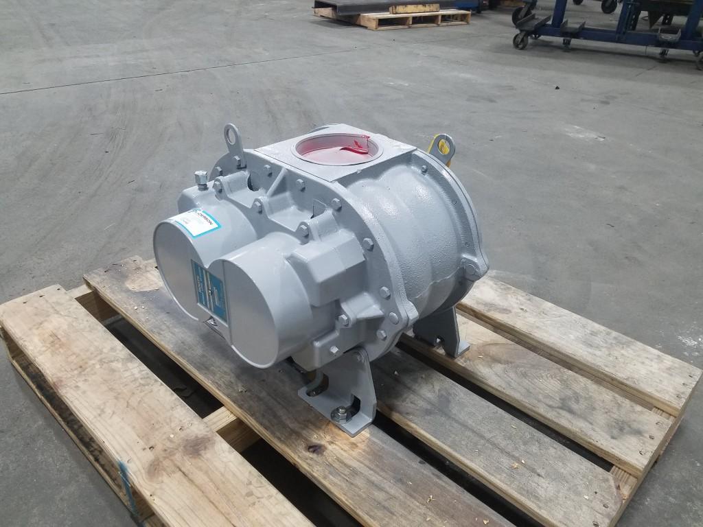 roots-after-3-Medium