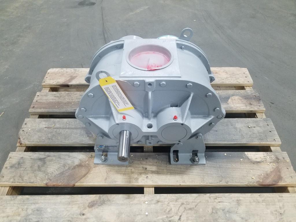 roots-after-4-Medium