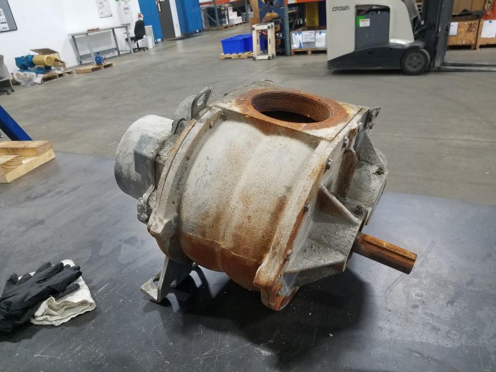 roots-before-2-Medium